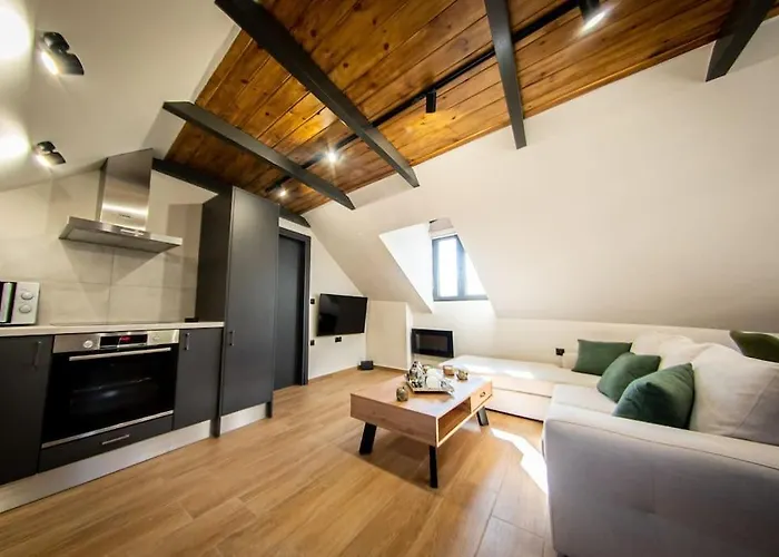 Roof Mountain Appartement